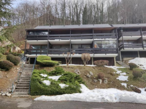 Studio T1 bis avec terrasse, parking et local à skis - 2 Chemin du Lisey, Cauterets - FR-1-234-272